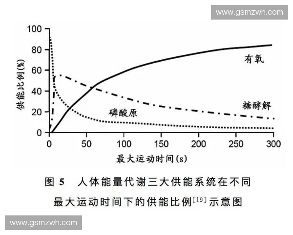 以訓練負荷調控為核心的運動訓練效能優化與科學管理研究實證分析